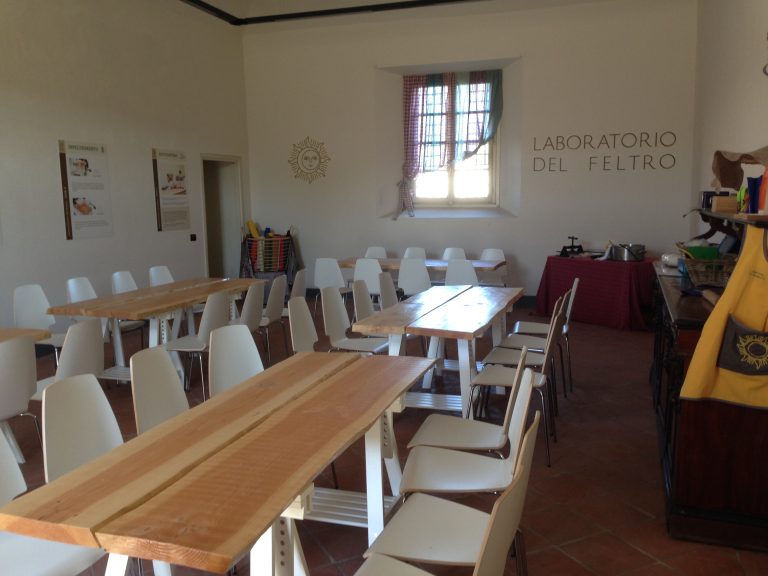 Scopri di più sull'articolo Nasce il laboratorio  del feltro
