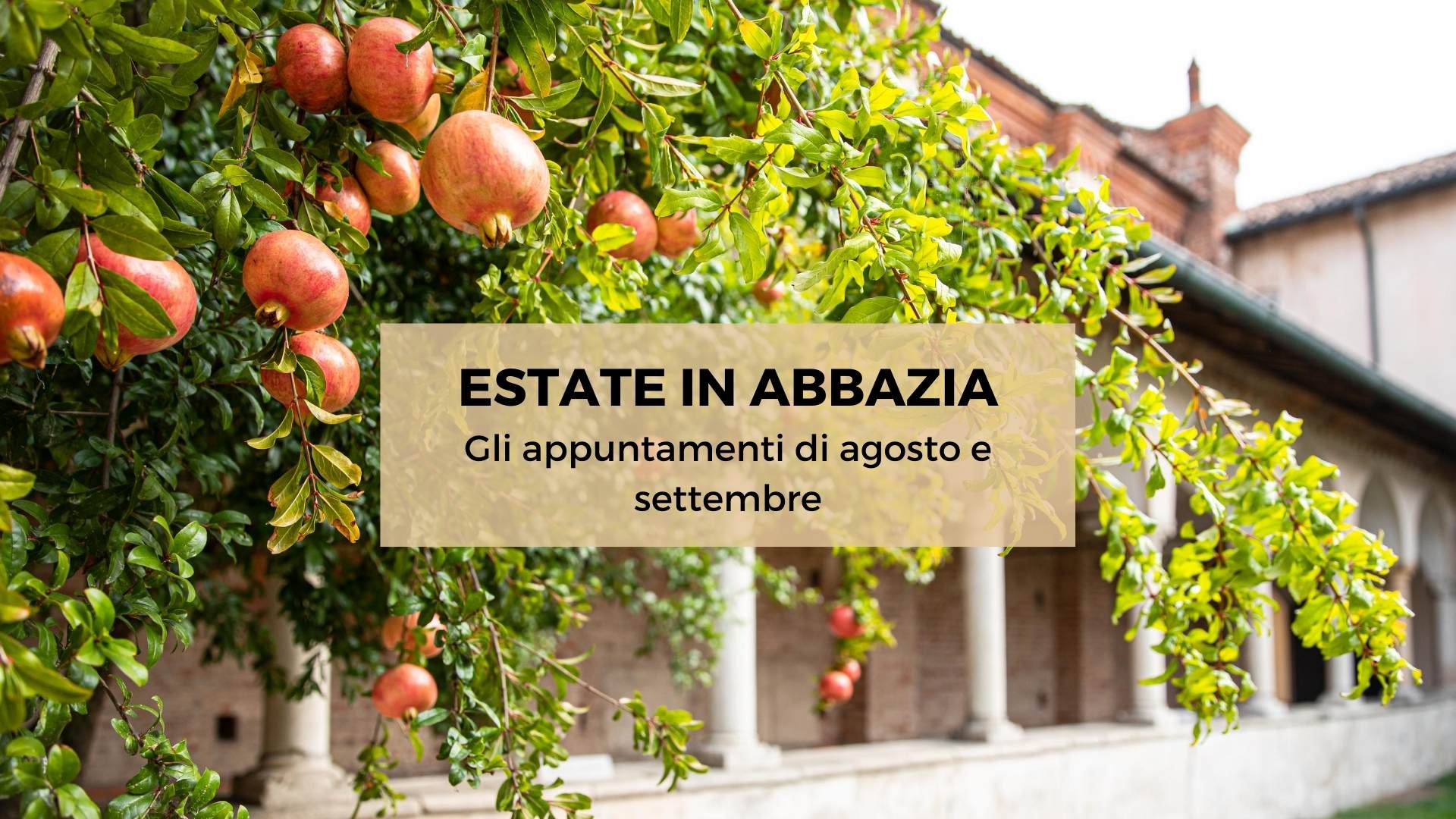 Al momento stai visualizzando Estate in Abbazia: gli appuntamenti di agosto e settembre