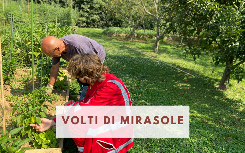 Scopri di più sull'articolo La storia di Giovanni: quando a germogliare è la solidarietà